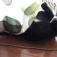 諭吉