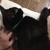 ピーター