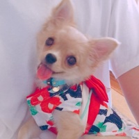 つむぎ