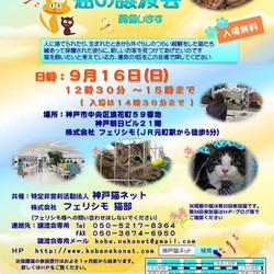 12～15時 神戸で猫の譲渡会（NPO法人神戸猫ネット＆㈱フェリシモ猫部） サムネイル1