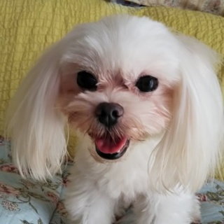 素敵なご縁に繋がりました