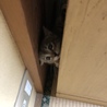 お気に入りの隙間