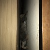 登って登って