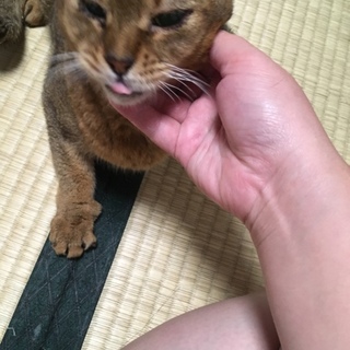 新しいご家族のもとに行きました！