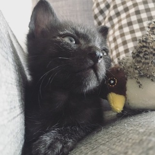 里親さんに恵まれました♡