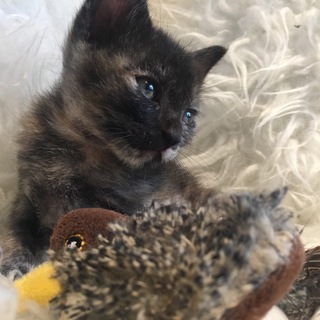 里親さんに恵まれました♡