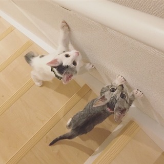 更新♡ふたり同時のご縁を探しています