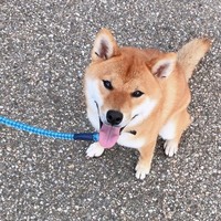 りゅう