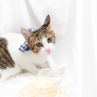 懐っこく抱っこ大好き♡こもくん♪