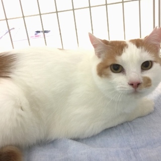 過酷な環境から保護された膝乗り「もなちゃん」♪