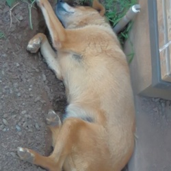 爆睡中ｚｚｚ。。。