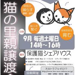 「保護猫シェアハウス・育む」 六角形の家