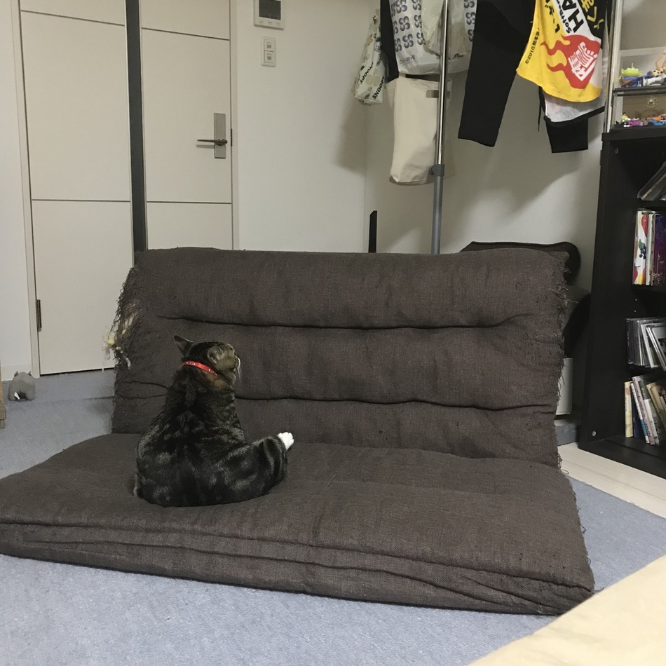 おっぺのカバー写真