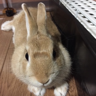 無事に決まりました。