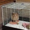 無事に決まりました。 サムネイル2