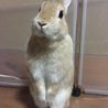無事に決まりました。 サムネイル3