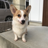 カル