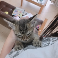 みい