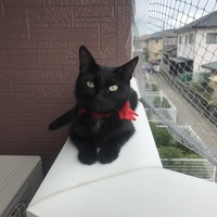 着地
