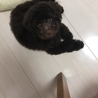 松山 グリ