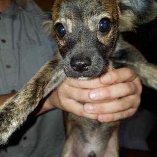 生後3ヵ月の男の子赤ちゃんです。