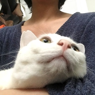 ご家族を待ってます