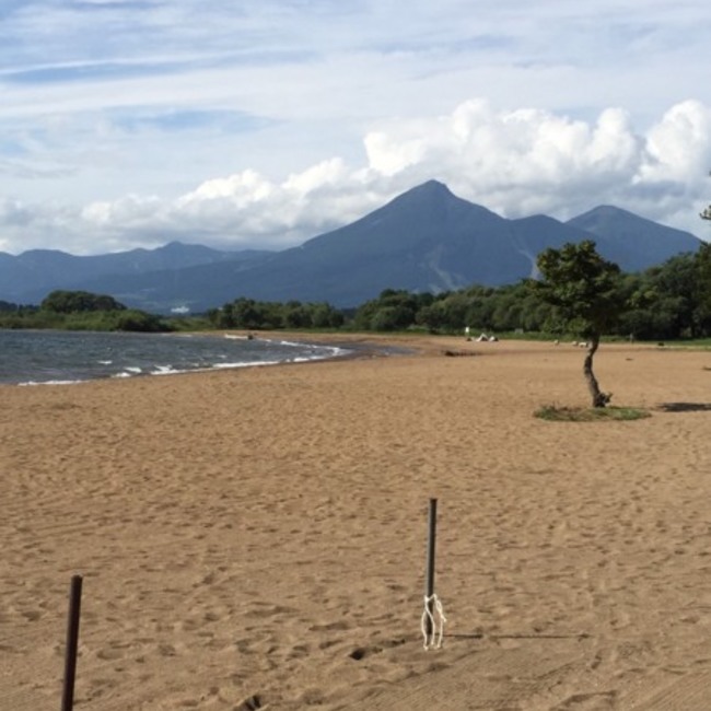 鳥好きな人のカバー写真