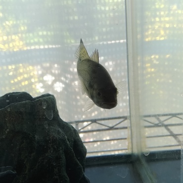 すずきさんの写真