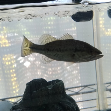 すずきさんの写真