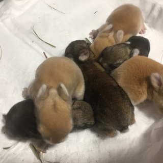 多数ご応募いただき、一時中断させてください