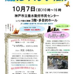 第5回Kobeにゃんずフェスタ