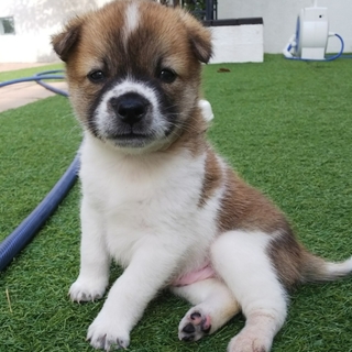 ☆ぬいぐるみみたいな可愛い男の子☆