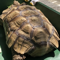 今日は、天気が良かったので♪