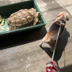 「今日は、天気が良かったので♪」サムネイル3