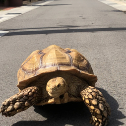 「今日は、天気が良かったので♪」サムネイル2