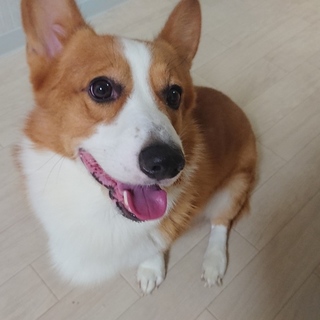 応募多数の為一旦締め切らせて頂きます