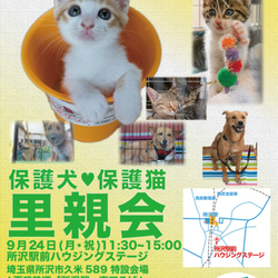 所沢駅前ハウジング犬猫里親会