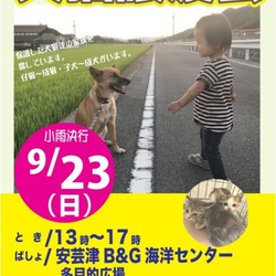 犬猫の譲渡会