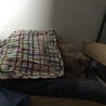 もてなし家