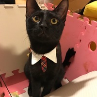 れん