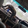 北海道〜千葉移動中