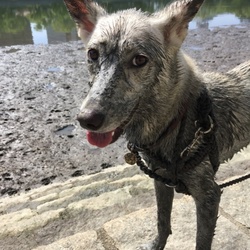 ラルさ〜〜ん(涙)