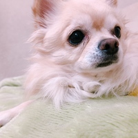 すー