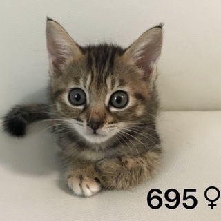 管理番号：OS−695