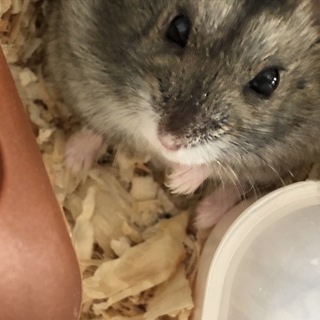 ありがとうございました