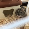 ありがとうございました サムネイル2