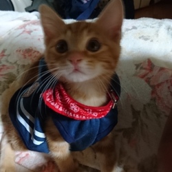 洋服ヽ(*´∀｀)ノ