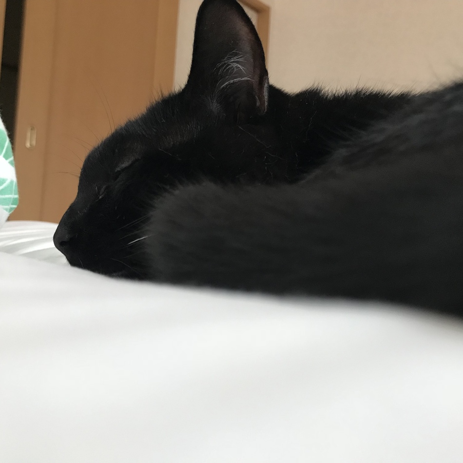 どどのカバー写真