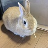 無事に決まりました。 サムネイル4