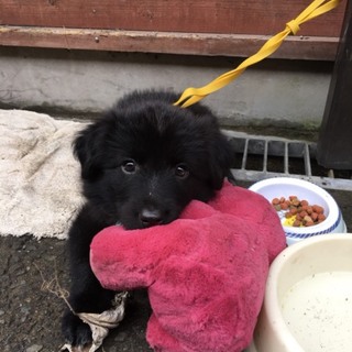 ♡甘えん坊です。♡　仲介